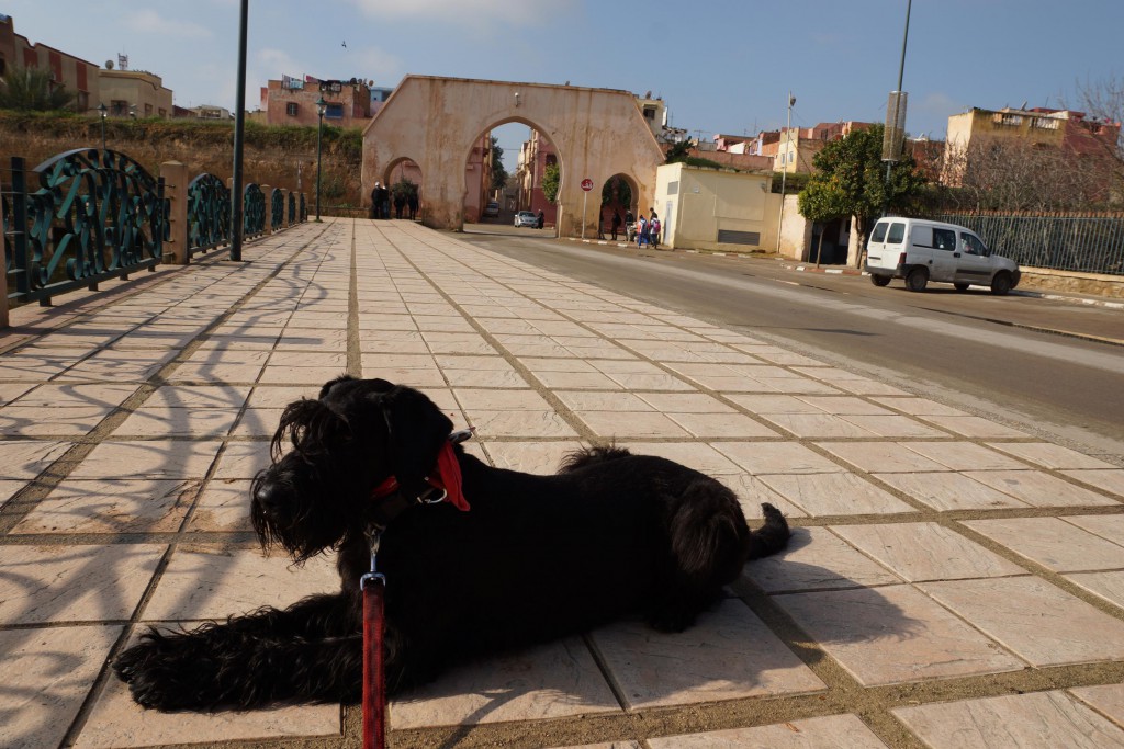 Meknes 