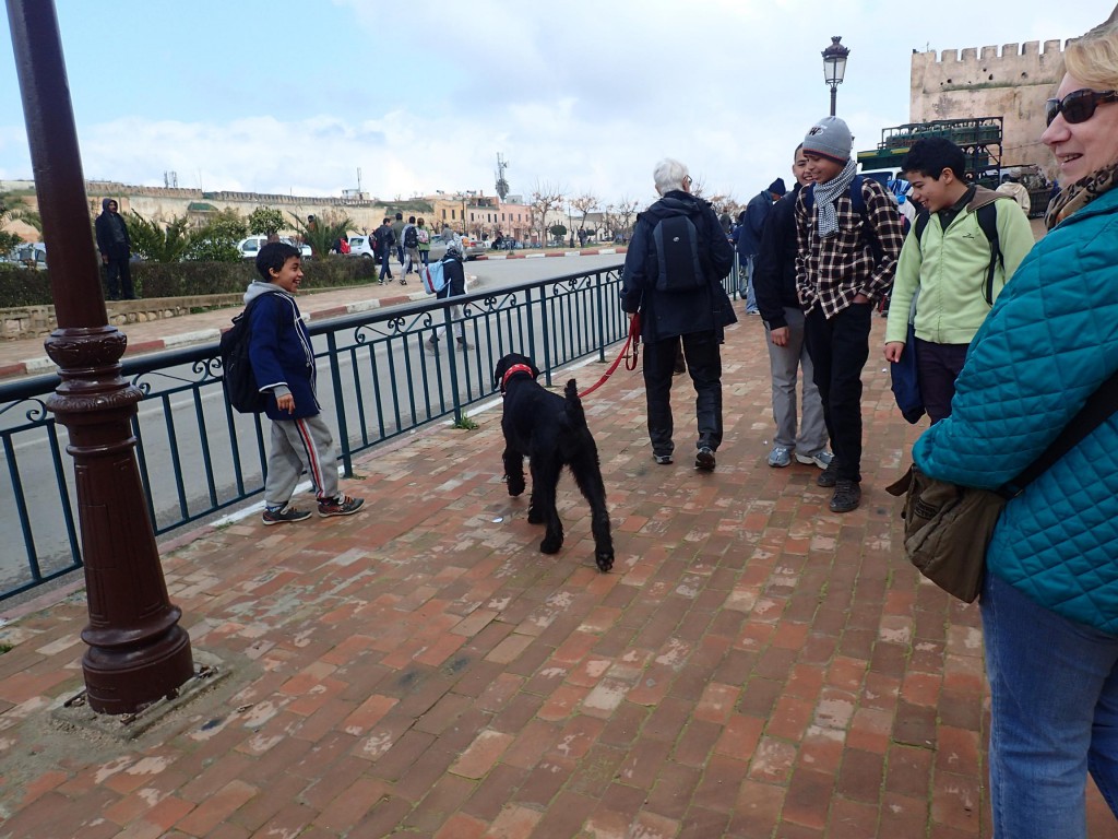 Meknes