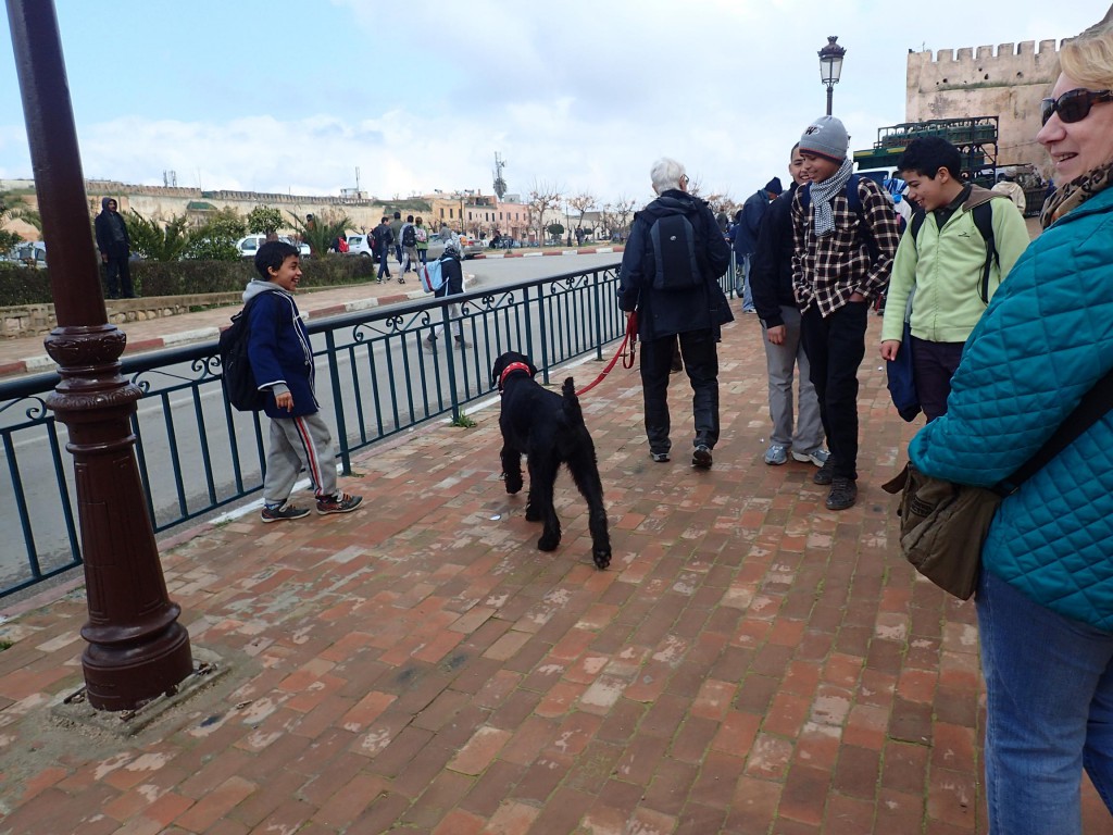 Meknes 