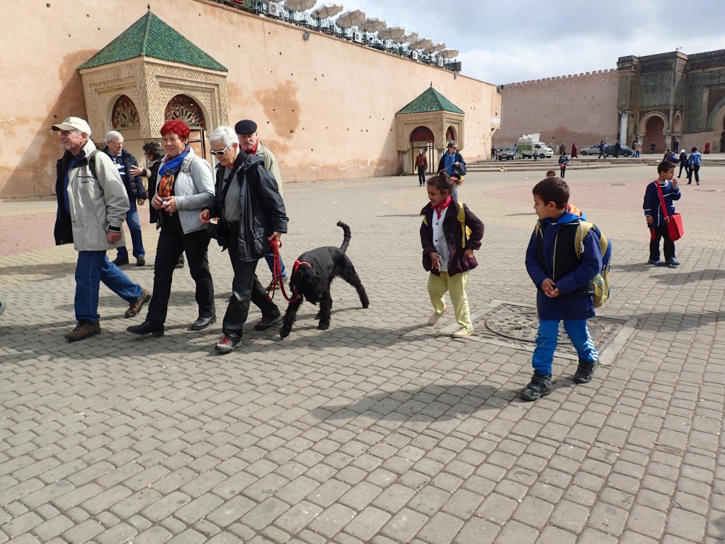 Meknes 