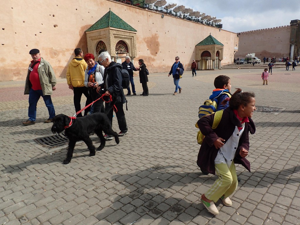 Meknes