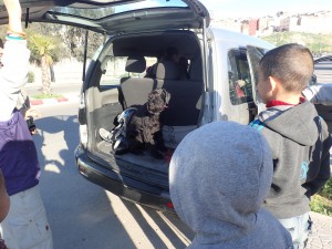 Maira im Auto